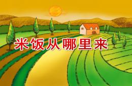 中班科學(xué)米飯從哪里來PPT課件