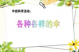 中班科學(xué)活動各種各樣的傘PPT課件