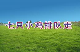 中班語言七只小雞排隊走PPT課件