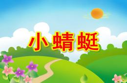 幼兒園動物兒歌小蜻蜓PPT課件配音音樂