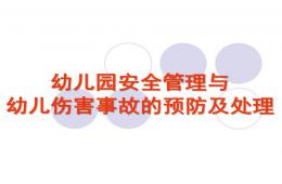 幼兒園安全管理與事故處理PPT課件