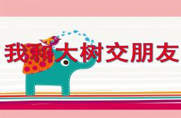中班科學(xué)我和大樹交朋友PPT課件