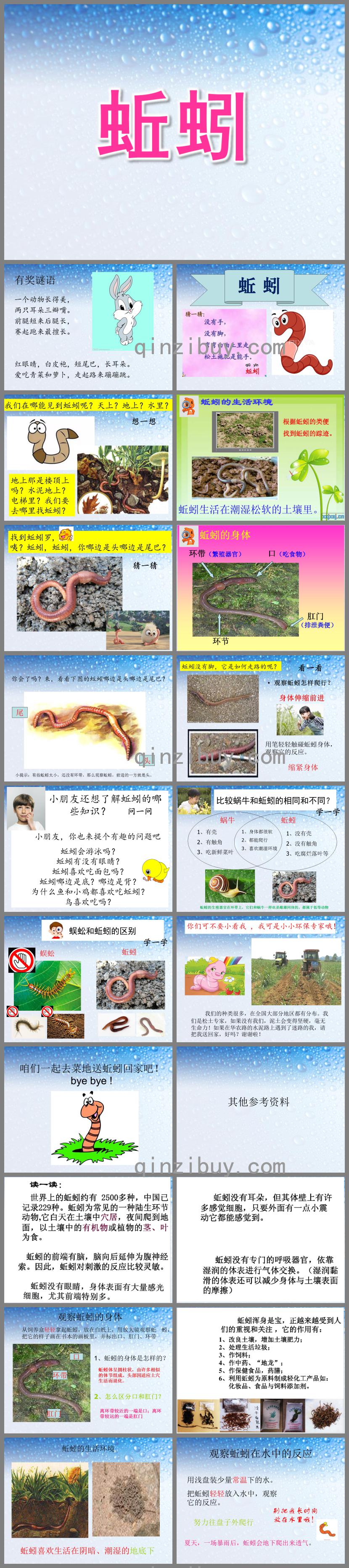 幼兒園科學活動蚯蚓PPT課件