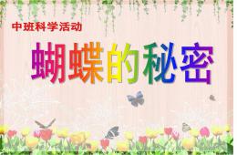 中班科學(xué)活動蝴蝶的秘密PPT課件