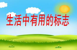 大班社會生活中的標志PPT課件