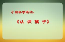 小班科學活動剝橘子PPT課件