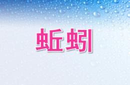 幼兒園科學活動蚯蚓PPT課件