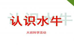 大班科學認識水牛PPT課件