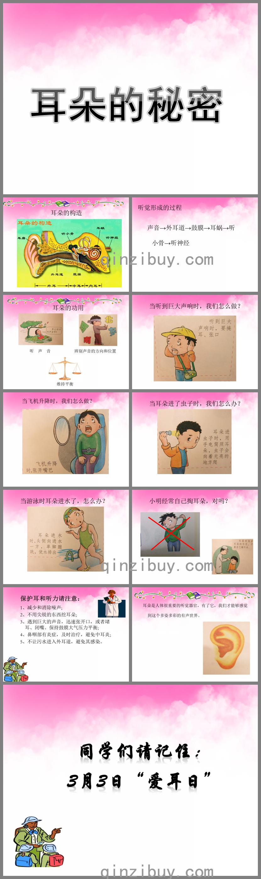 大班健康耳朵的秘密PPT課件