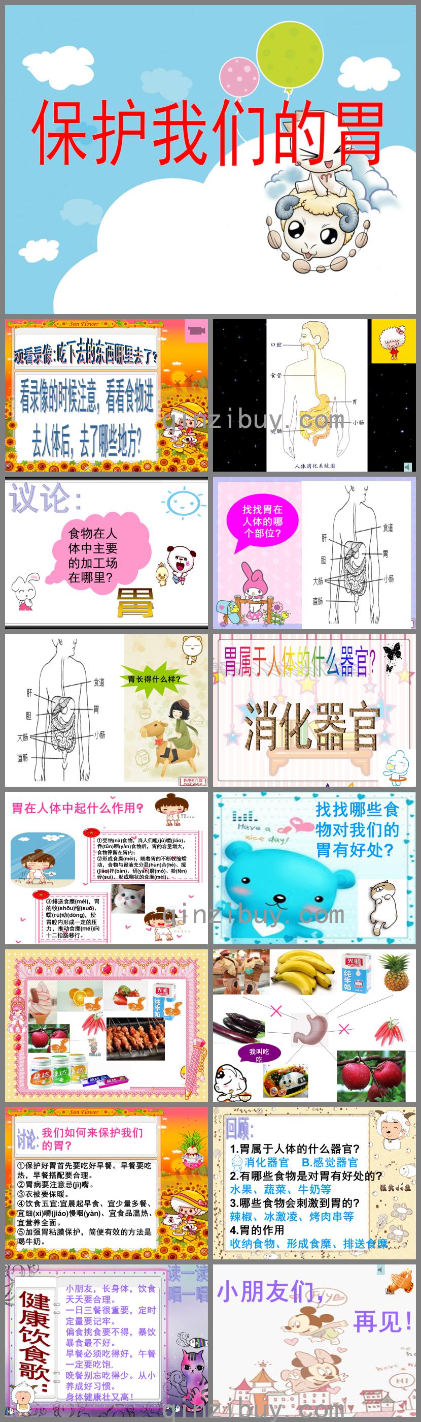 大班健康保護我們的胃PPT課件
