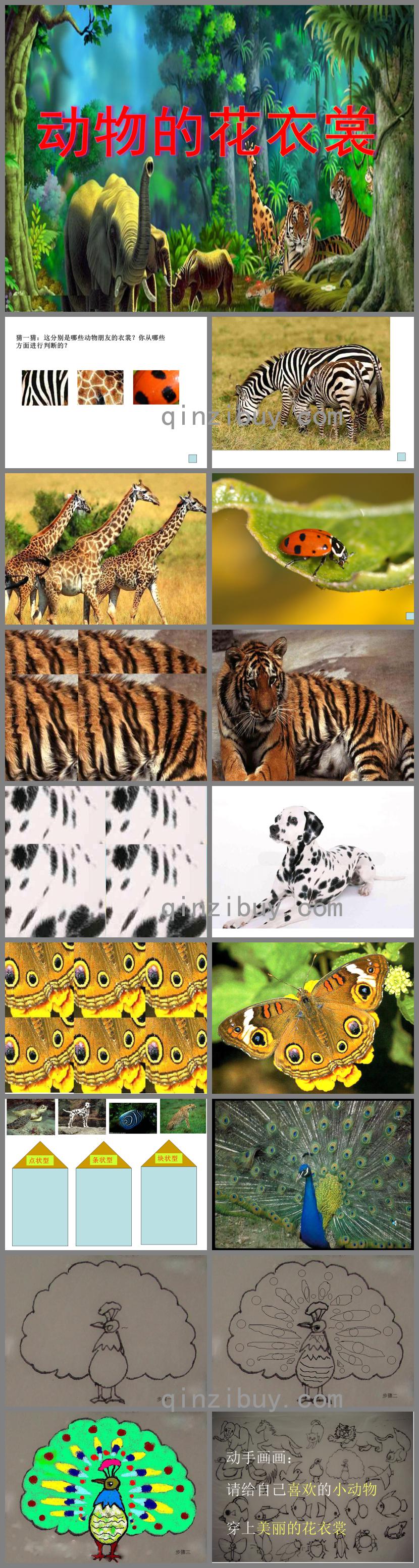 大班美術(shù)動物花衣裳PPT課件