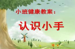 小班健康認識手PPT課件