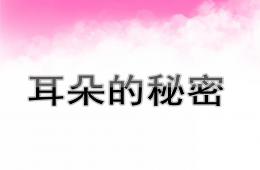 大班健康耳朵的秘密PPT課件