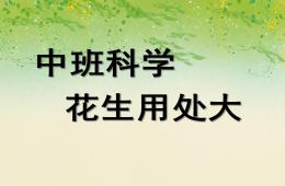 中班科學花生用處大PPT課件