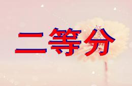 大班2等分PPT課件