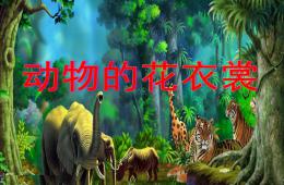 大班美術動物花衣裳PPT課件