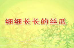 中班美術活動細細長長的絲瓜PPT課件
