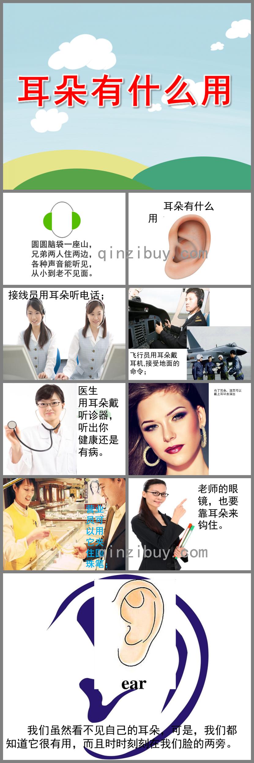 中班健康耳朵有什么用PPT課件