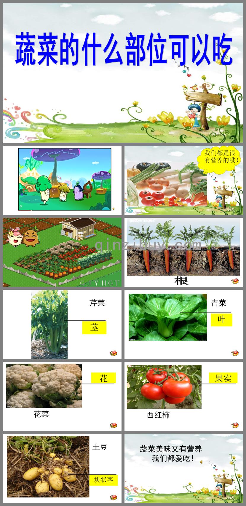 中班健康蔬菜什么部位可以吃PPT課件