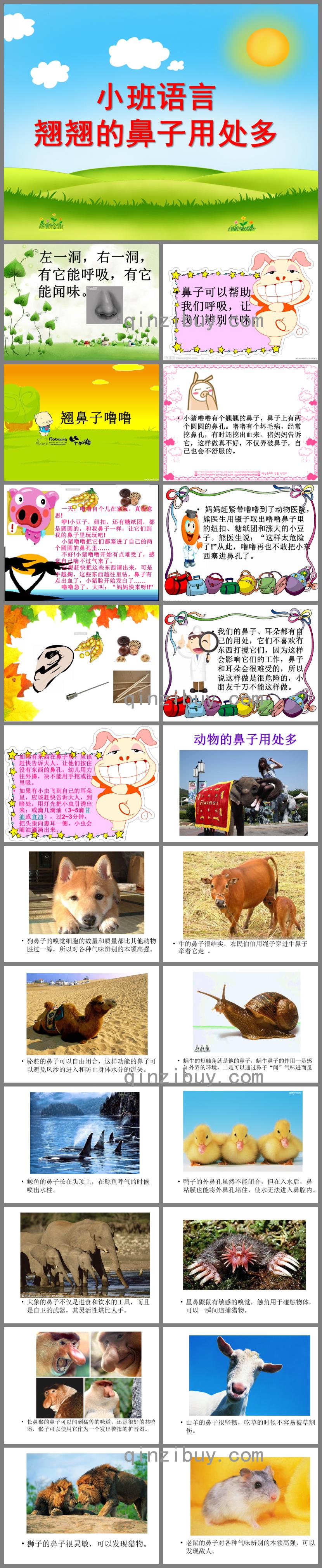小班語言翹翹的鼻子用處多PPT課件