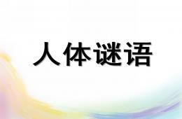 中班語言人體謎語PPT課件
