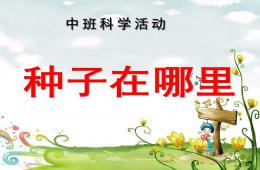 中班科學種子在哪里PPT課件