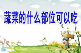 中班健康蔬菜什么部位可以吃PPT課件