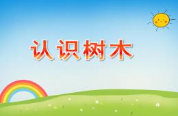 小班科學活動認識樹木PPT課件