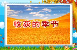 中班社會收獲的季節(jié)PPT課件