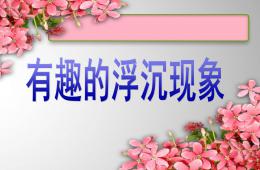 中班科學有趣的沉浮PPT課件