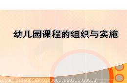 幼兒園課程組織與實施PPT課件