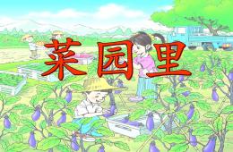 中班主題活動菜園里PPT課件