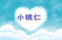 大班故事小桃仁PPT課件