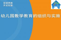 幼兒園數(shù)學(xué)教育的組織與實施PPT課件