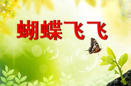 小班語言蝴蝶飛飛PPT課件