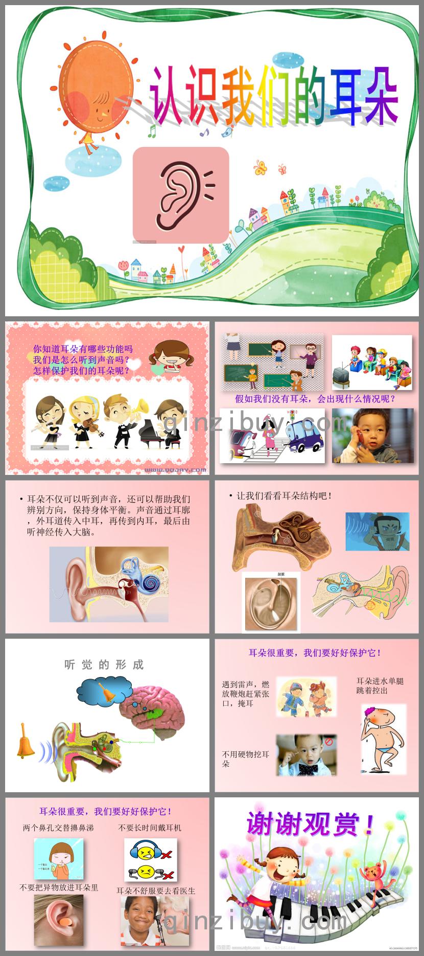 中班健康認識耳朵PPT課件