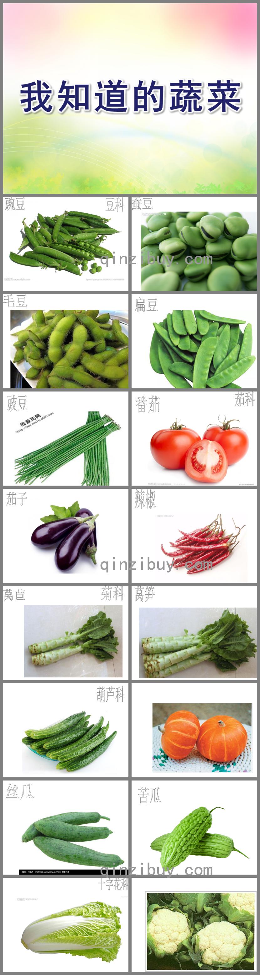 中班健康我知道的蔬菜PPT課件