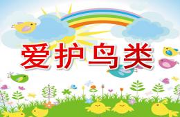中班綜合愛護鳥類PPT課件