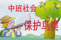中班社會保護鳥類PPT課件