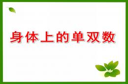 大班數(shù)學(xué)身體上的單雙數(shù)PPT課件