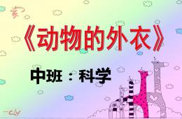 中班科學動物的外衣PPT課件