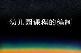 幼兒園課程編制PPT課件