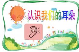 中班健康認識耳朵PPT課件