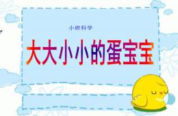 小班科學大大小小的蛋寶寶PPT課件