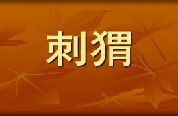 幼兒園美術(shù)刺猬PPT課件