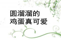 中班健康活動圓溜溜的雞蛋PPT課件