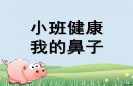 小班健康我的鼻子PPT課件