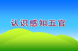 小班健康認識感知五官PPT課件