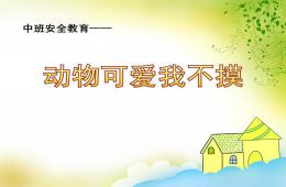 中班安全教育動(dòng)物可愛我不摸PPT課件