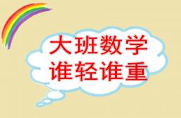 大班數(shù)學(xué)誰輕誰重PPT課件